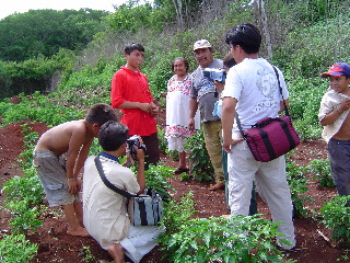 DSC00818