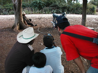 P1010016_1